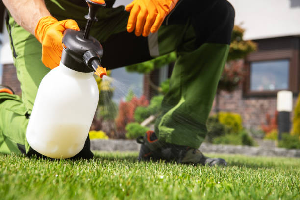 Lawn Pest Control in Boiling Springs, NC